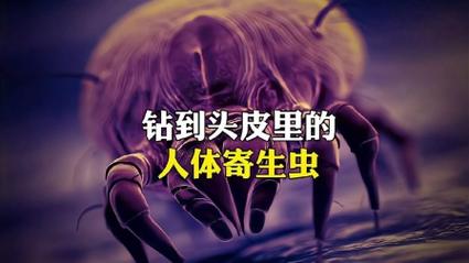 生活资讯 第44页