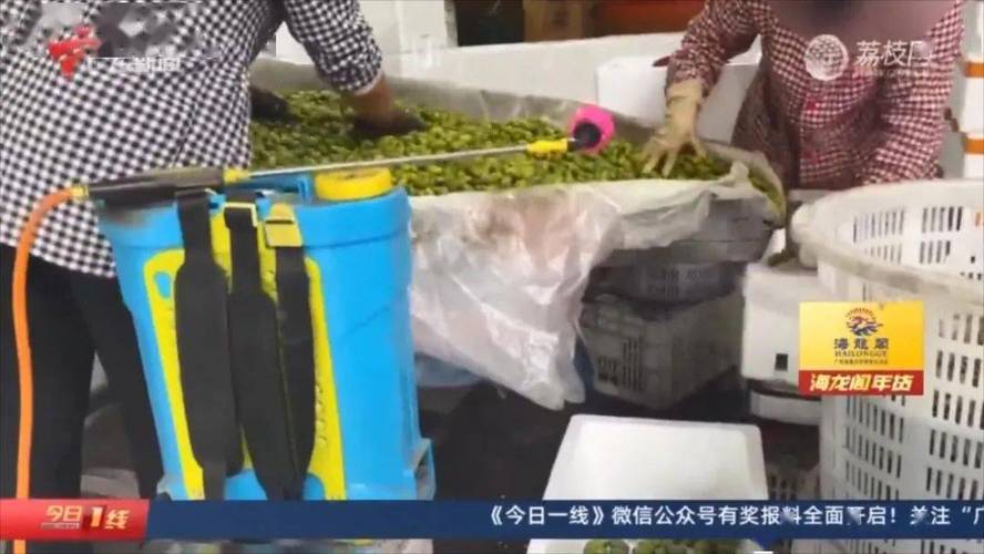 生活资讯 第43页