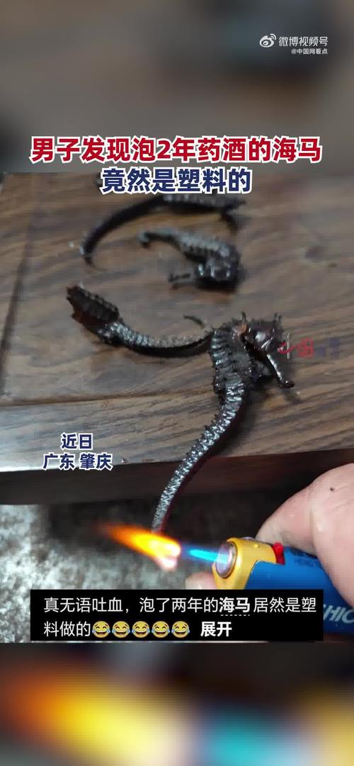 泡7年药酒海马是塑料;海马药酒泡了很多年能喝吗