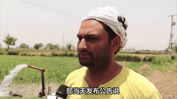 印全面解禁大米出口;