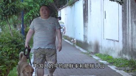 中国最胖的省是河北;中国最胖的省份