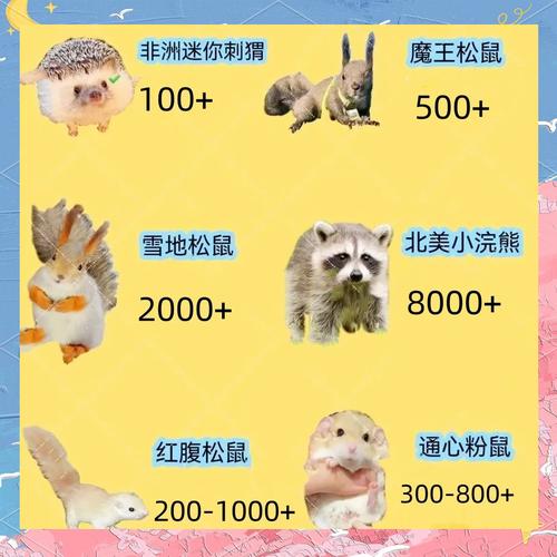 饲养异宠背后的风险;异宠饲养的建议
