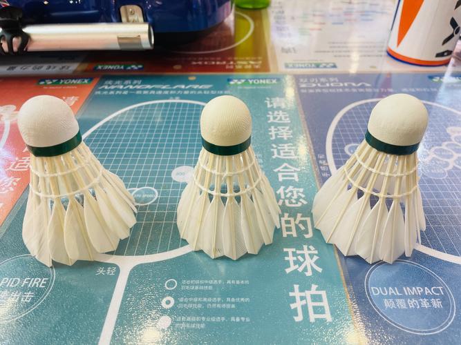 地方关注 第26页