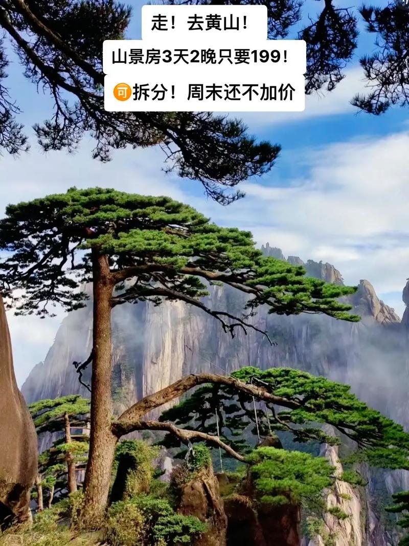 黄山3天捡18个孩子;黄山3天捡18个孩子是真的吗
