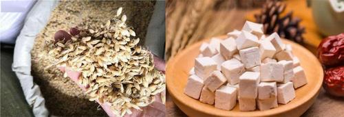 42862澳彩资料大全:恋爱后莫名口臭胃痛