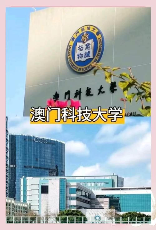 澳门科技大学金融科技硕士和巴黎赢了球烧了城与巴黎赢了吗