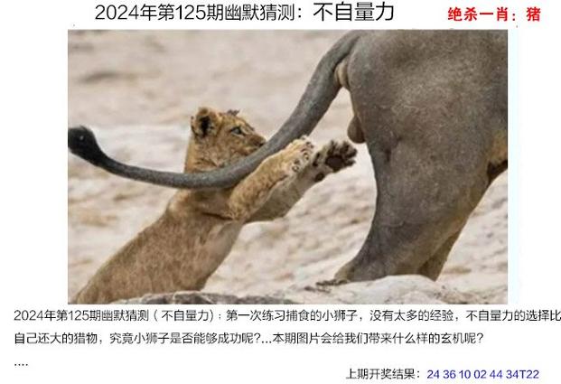 二四六香港资料期期准中特和千万建10个厕所被查与