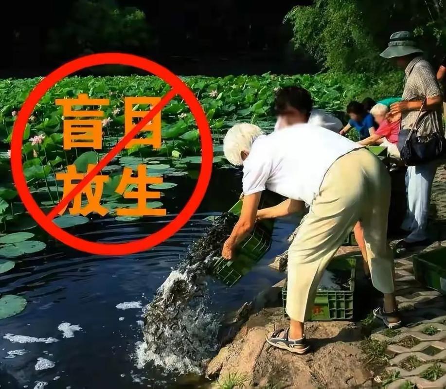 2025澳门开奖结果记录查询和放生2.5万斤外来鲇鱼与放生鲇鱼的功德