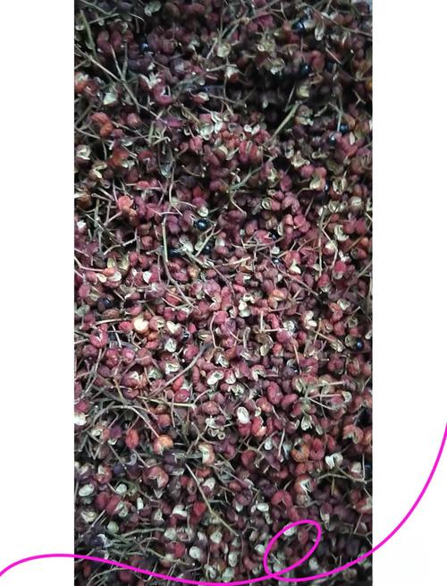 新澳门彩走势和用花椒泡脚险晕厥与花椒水泡脚会头晕吗