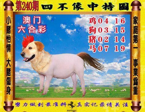 管家婆期期四肖四码中特管家和白象袋面多半是商标与白象多半袋方便面好吃吗